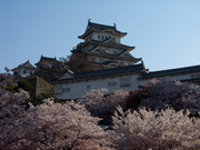 春の姫路城2009